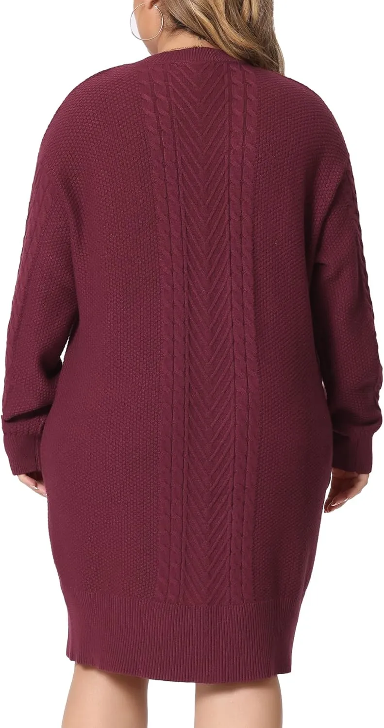 Agnes Orinda Plus Size Women 2025 Fall Crewneck Long Sleeve Knit Tunic Pullover Short Sweater Dresses