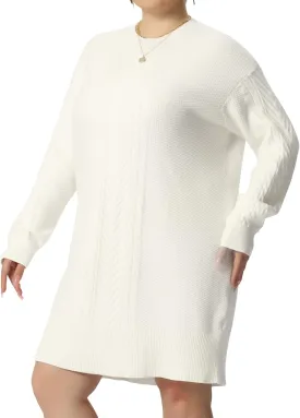 Agnes Orinda Plus Size Women 2025 Fall Crewneck Long Sleeve Knit Tunic Pullover Short Sweater Dresses