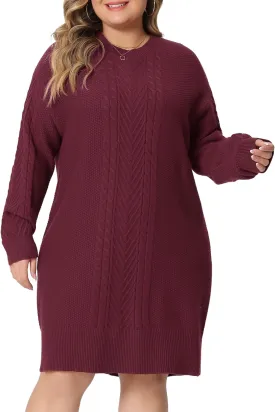 Agnes Orinda Plus Size Women 2025 Fall Crewneck Long Sleeve Knit Tunic Pullover Short Sweater Dresses